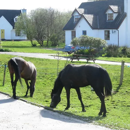 Farm In Village On A Farm Beside Connemara National Park Hébergement de vacances Letterfrack