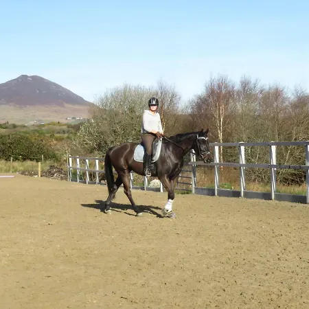 Σπίτι διακοπών Farm In Village On A Farm Beside Connemara National Park *