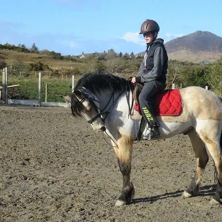 Farm In Village On A Farm Beside Connemara National Park Σπίτι διακοπών Letterfrack
