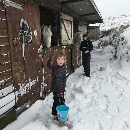 Farm In Village On A Farm Beside Connemara National Park * Letterfrack