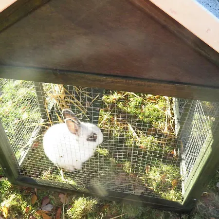 Farm In Village On A Farm Beside Connemara National Park *