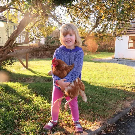 Σπίτι διακοπών Farm In Village On A Farm Beside Connemara National Park Letterfrack