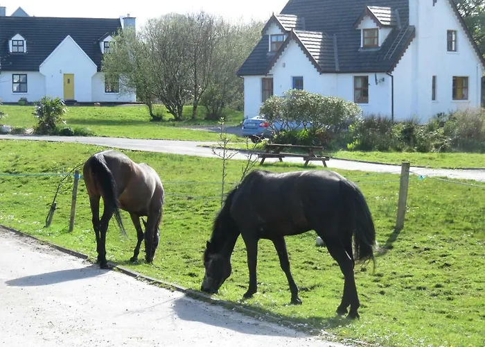 Farm In Village On A Farm Beside Connemara National Park Casa de Férias Letterfrack